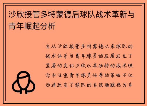 沙欣接管多特蒙德后球队战术革新与青年崛起分析 沙欣接管多特蒙德后球队战术革新与青年崛起分析